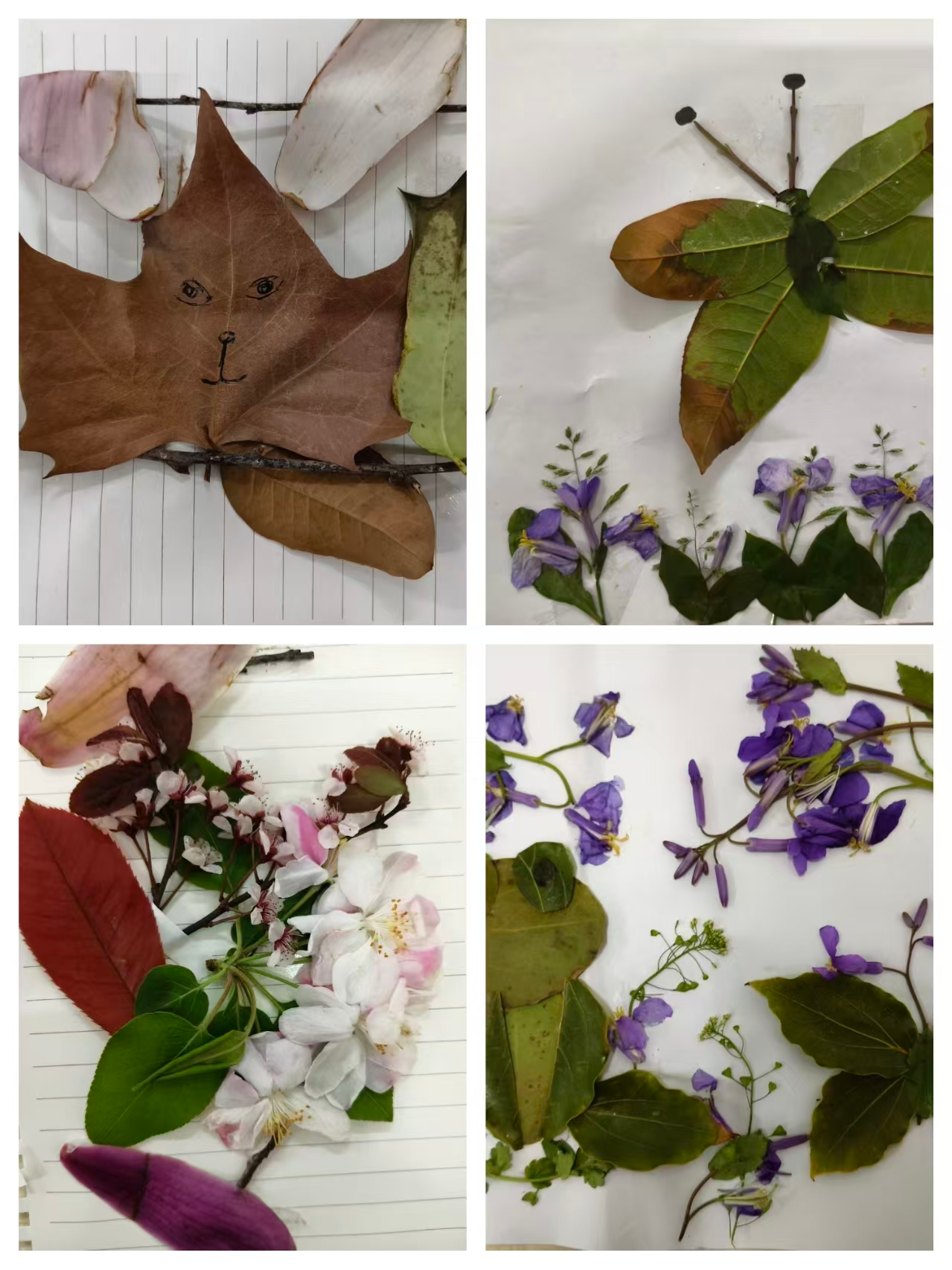 微信图片_2026-04-09_152236_339.png 微信图片_2026-04-09_152236_339.png