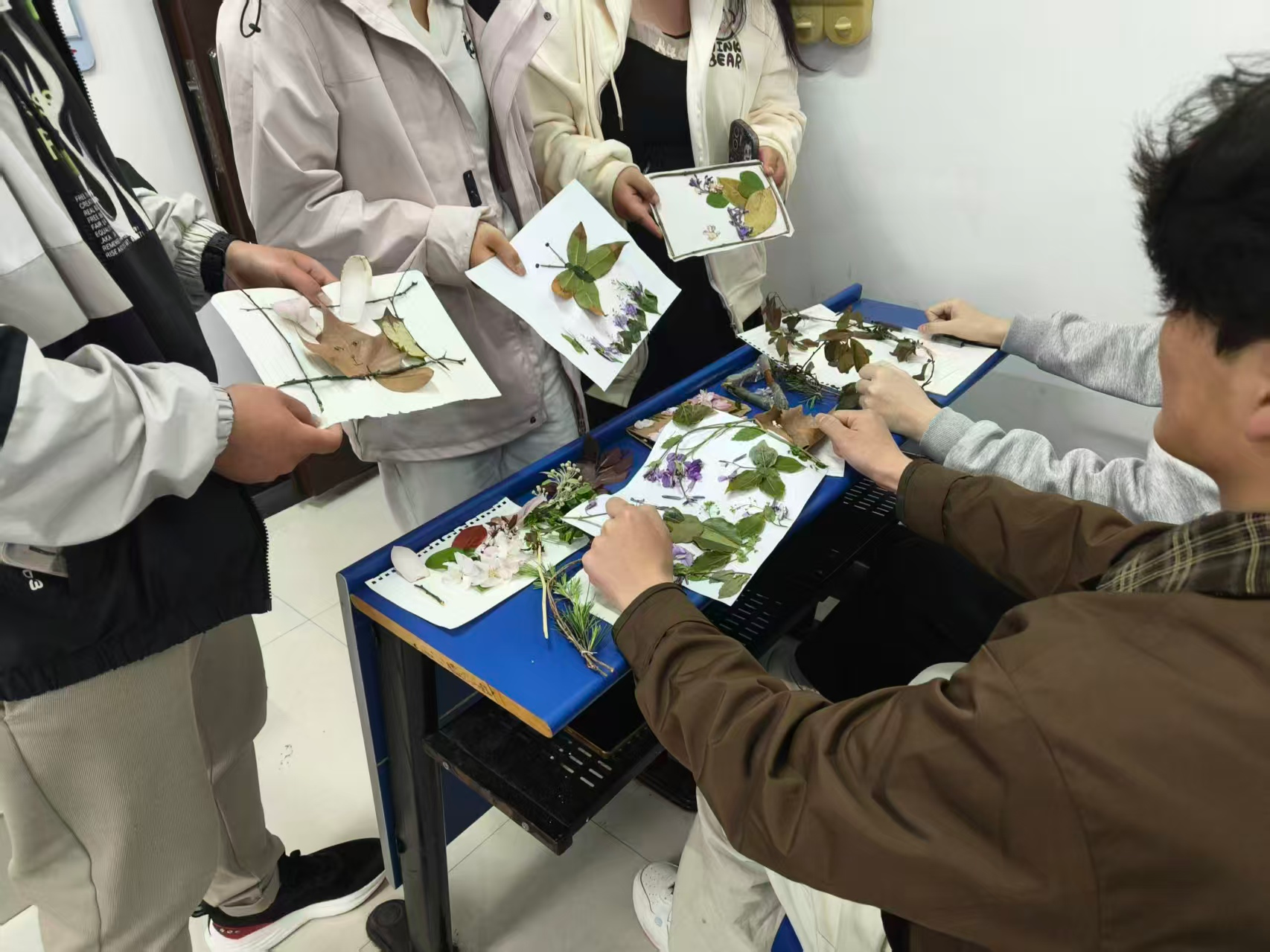 微信图片_2026-04-09_152228_690.png 微信图片_2026-04-09_152228_690.png