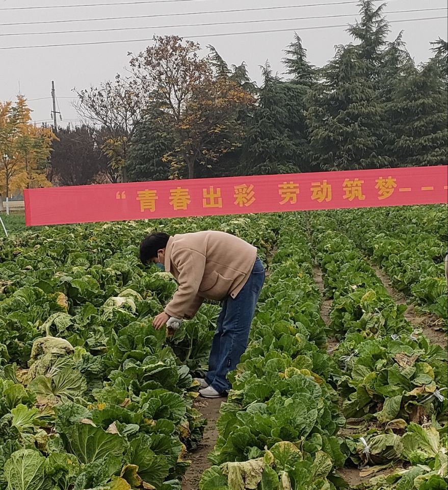 QQ图片20221124171154.jpg QQ图片20221124171154.jpg