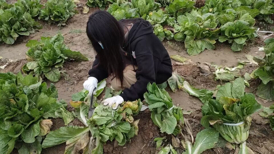 QQ图片20221124171326.jpg QQ图片20221124171326.jpg