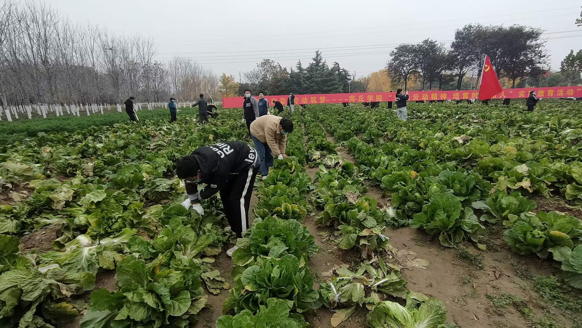 QQ图片20221124183138.jpg QQ图片20221124183138.jpg